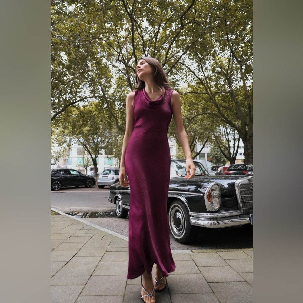 Zara Purple Maxi Dress